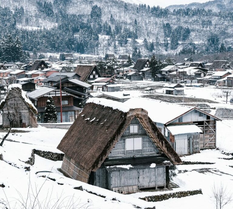 brown wooden house on snow covered ground during daytime